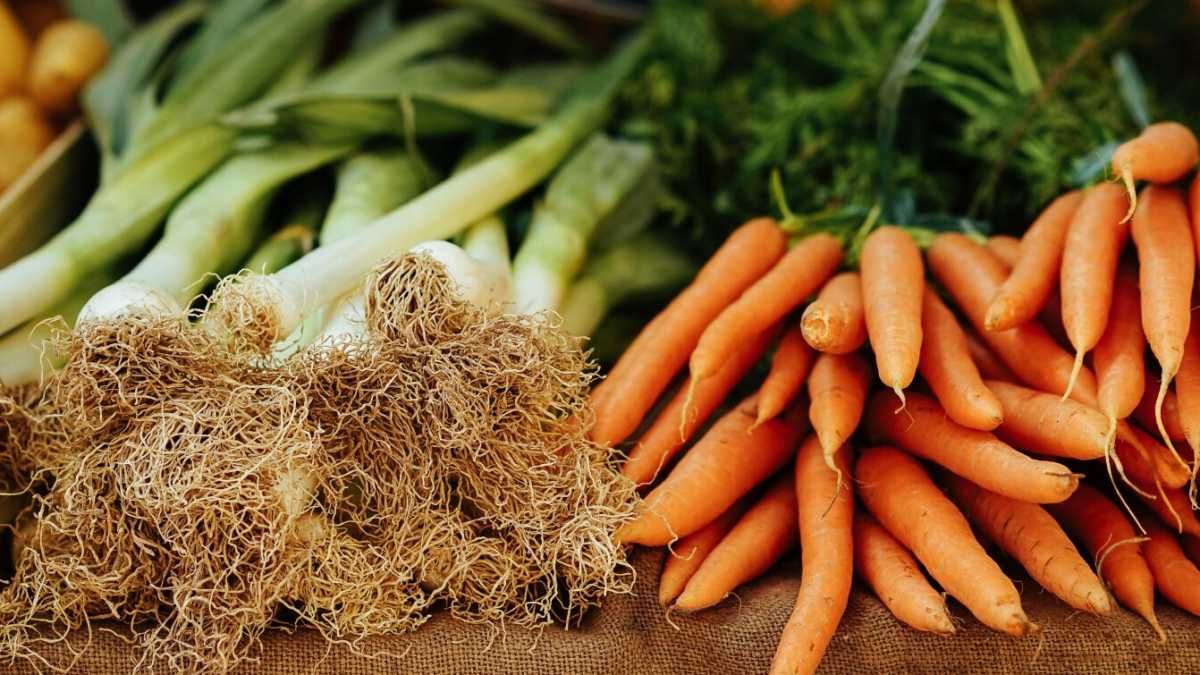 Immagine di Le partnership virtuose della green economy