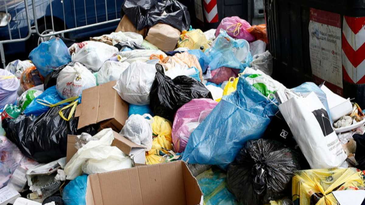 Immagine di L’ambientalismo tossico che avvelena l’accordo tra Pd e M5s