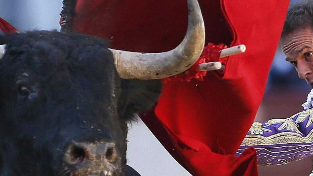 Immagine di Maledetta corrida. La più tragica delle arti celebra la vita
