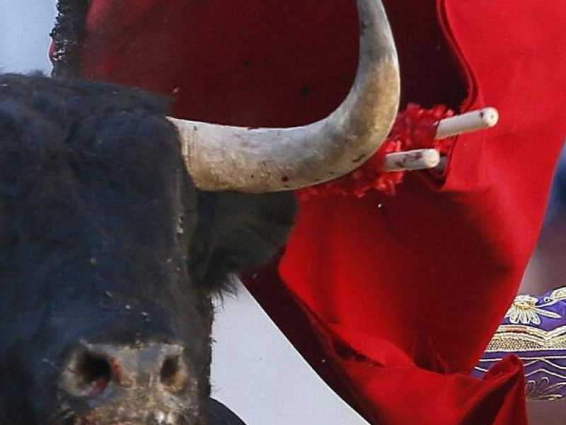 Il torero Antonio Ferrera durante una corrida in occasione della festa di San Isidro a Madrid (foto LaPresse)