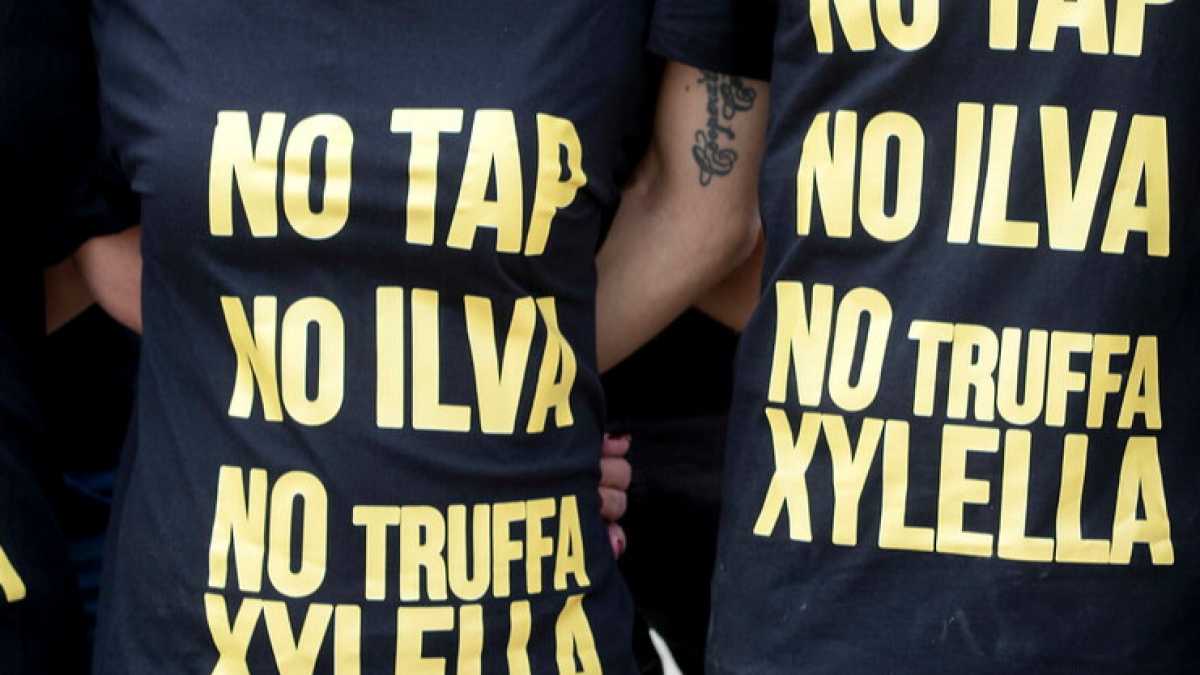 Immagine di I silenzi contro i giacobini dell’ecologia