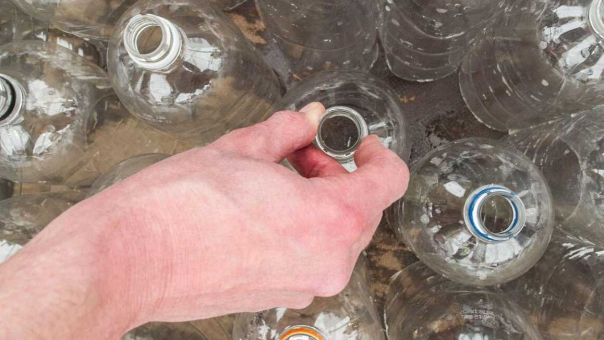 Immagine di No, la borraccia no! Le virtù della plastica spiegate da chi la ricicla