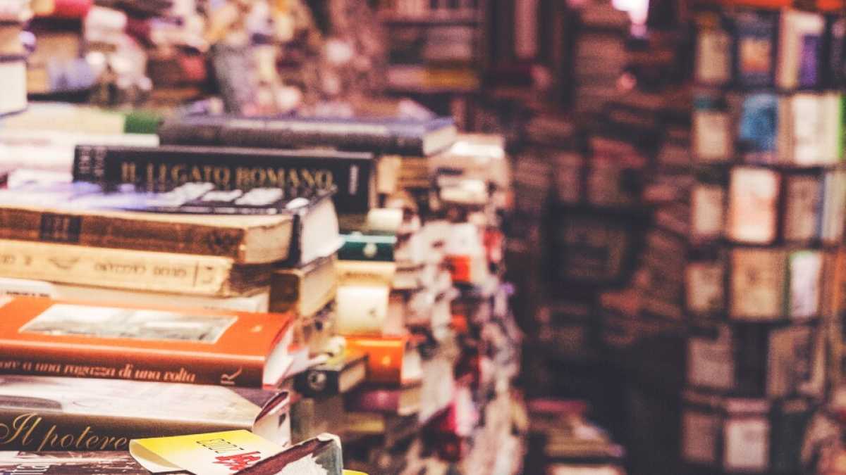 Immagine di Qualche consiglio di lettura per quando vi si romperà il computer