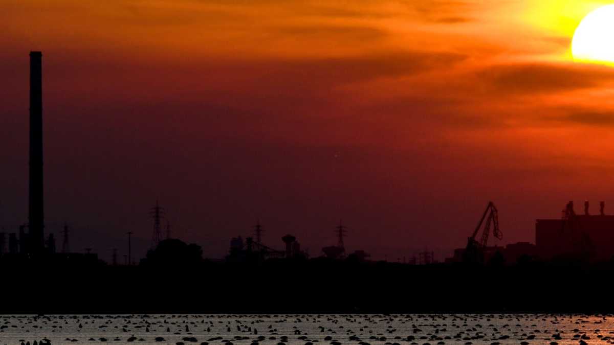 Immagine di Procure non d’acciaio