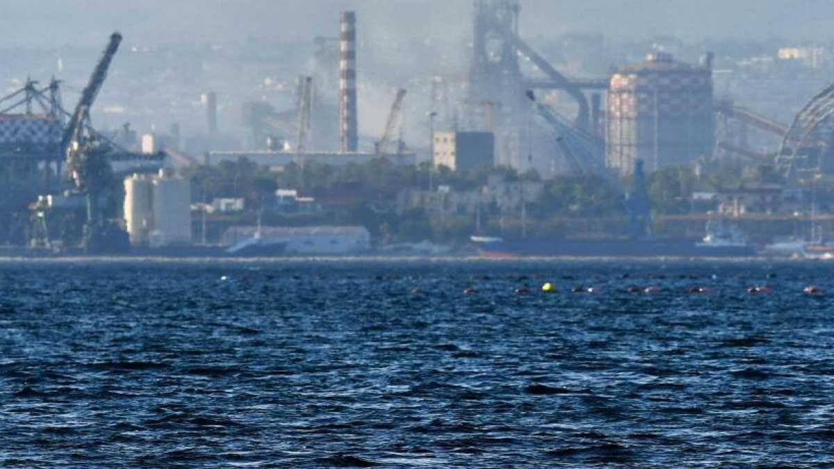 Immagine di Far fuggire Mittal è un disastro ambientale