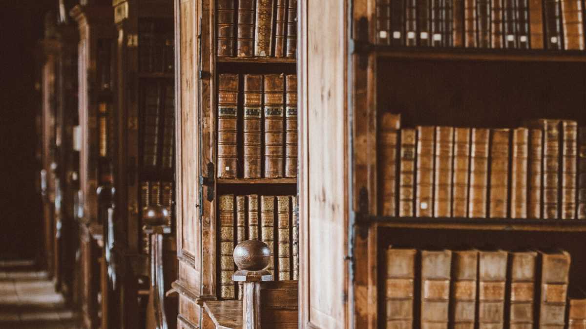 Immagine di I libri vivono nelle mani tremanti di chi li ama, non nelle cantine delle biblioteche
