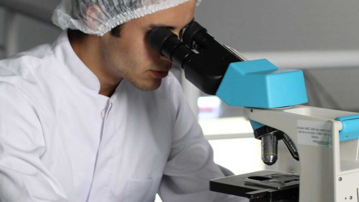 Immagine di Le cinque punte di diamante della ricerca italiana negli Stati Uniti