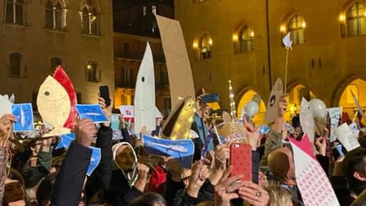 Immagine di Come sono le sardine?