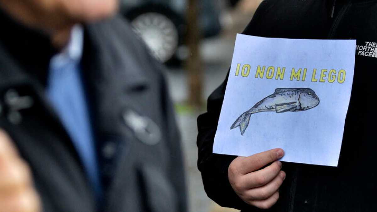 Immagine di Stare in silenzio di fronte alle sardine