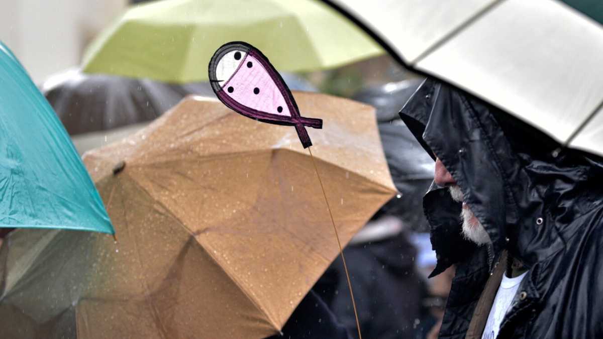 Immagine di Affrontare il diluvio