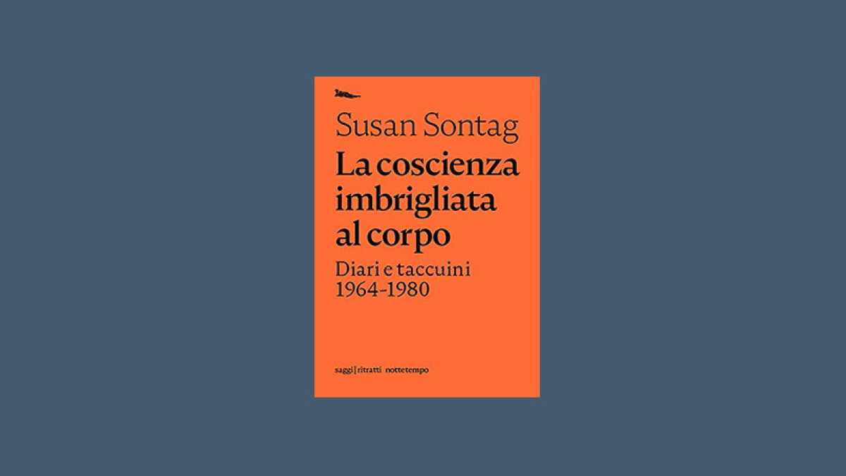 Immagine di L’amore secondo Susan Sontag