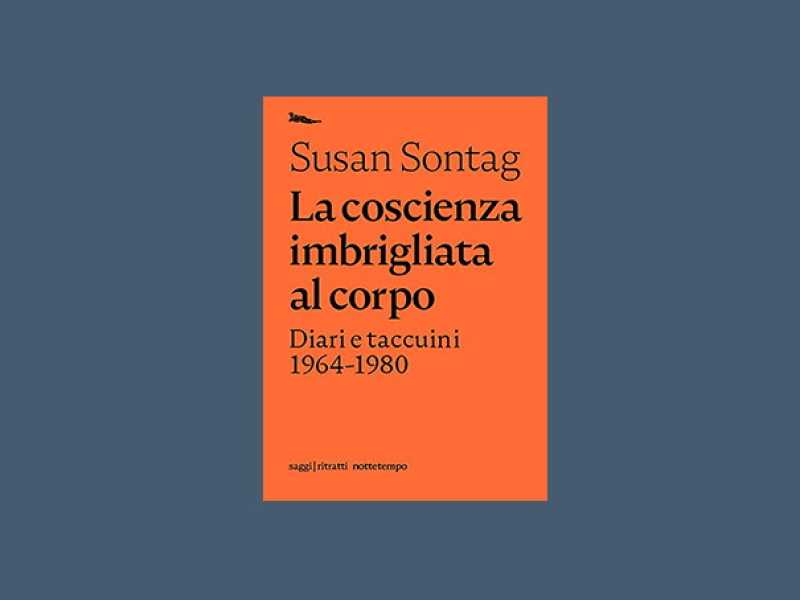 L’amore secondo Susan Sontag
