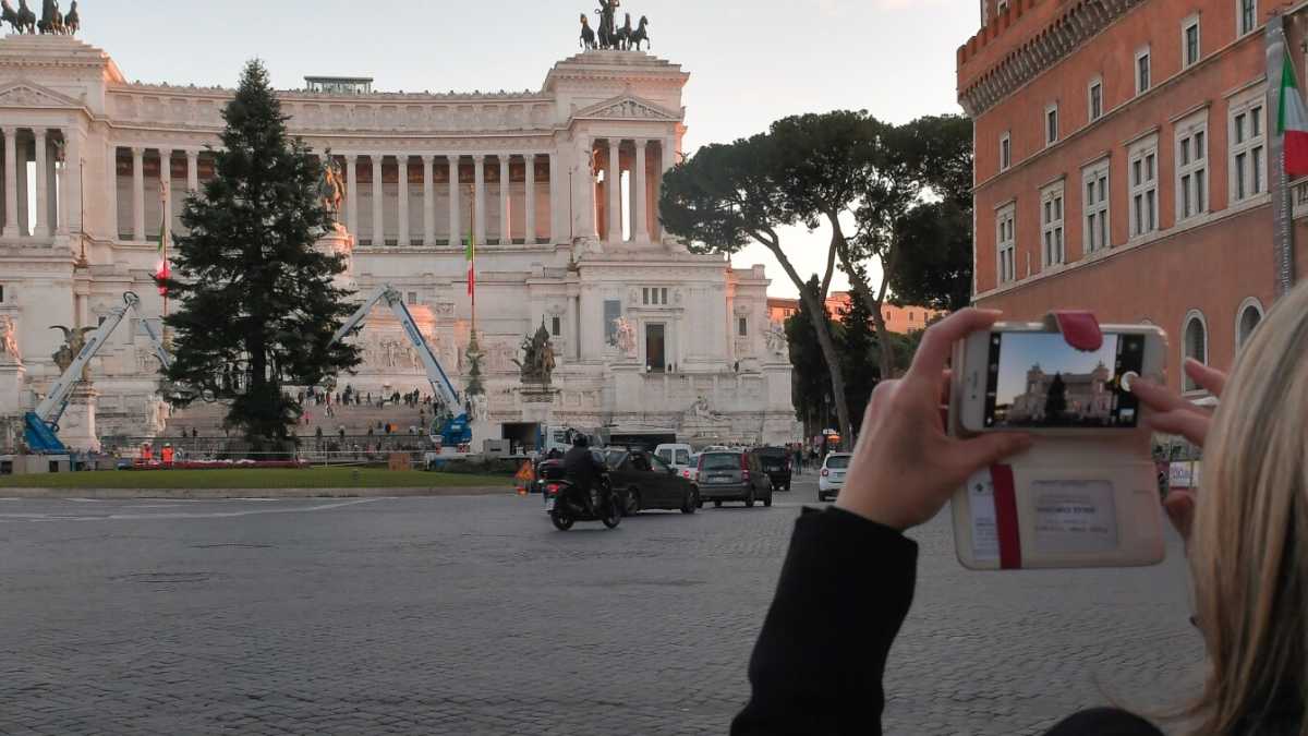 Immagine di La disfida dell'albero sull'asse Milano-Roma
