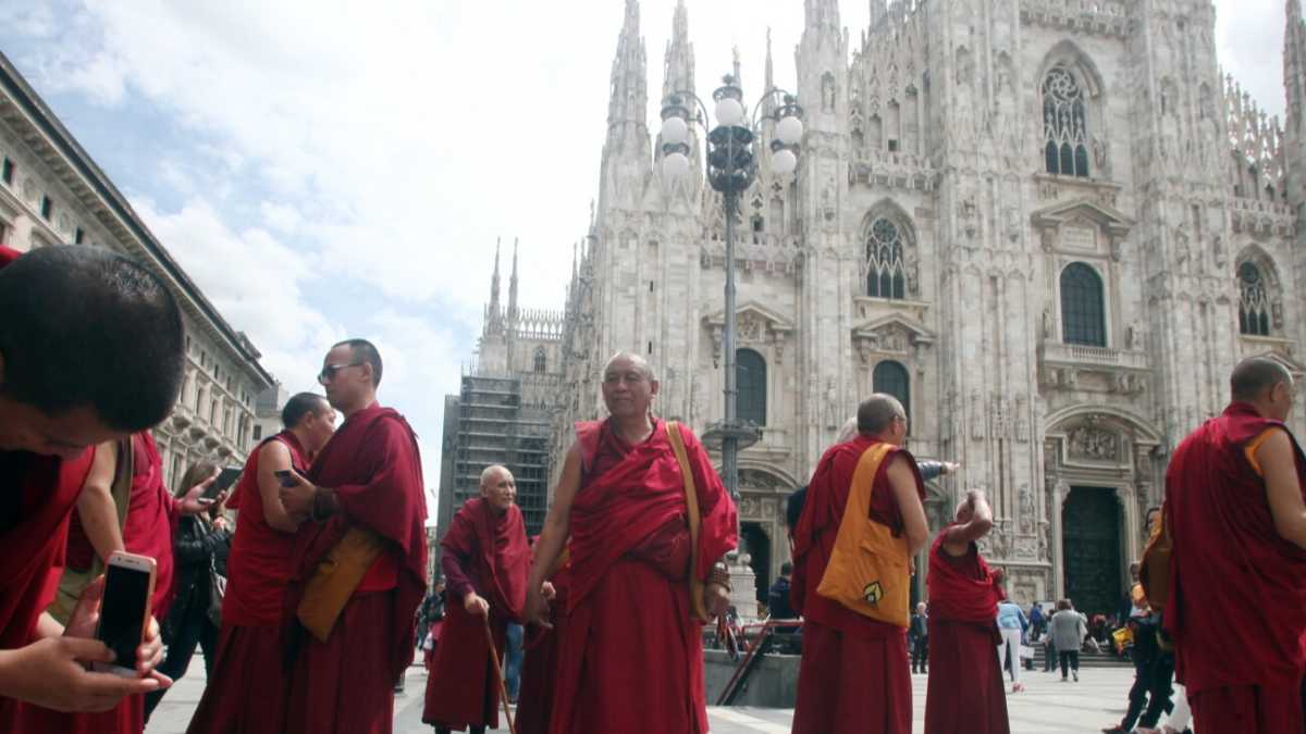 Immagine di Cattobuddisti