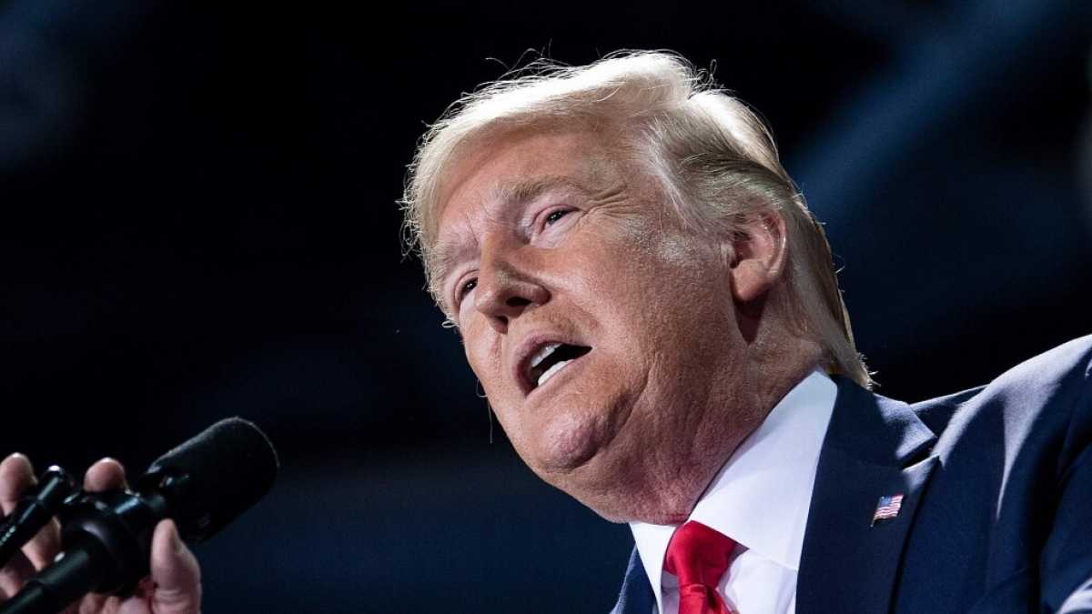 Immagine di Caro Trump, è la legge. Idiot!