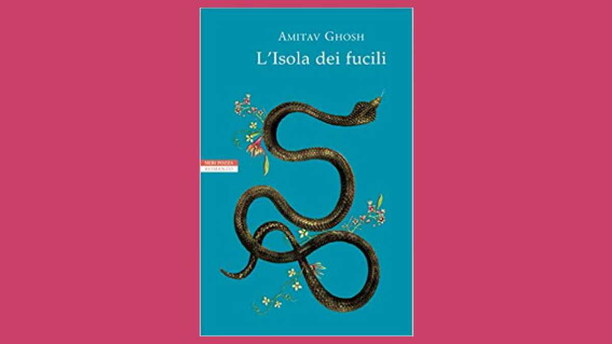 Immagine di L’Isola dei fucili