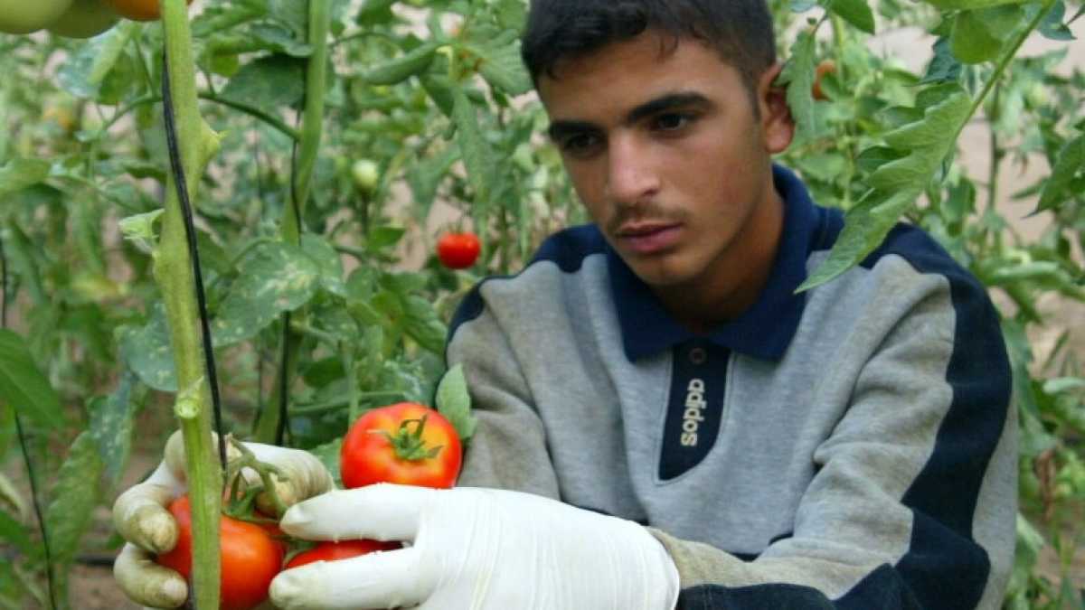 Immagine di Lavoro e integrazione
