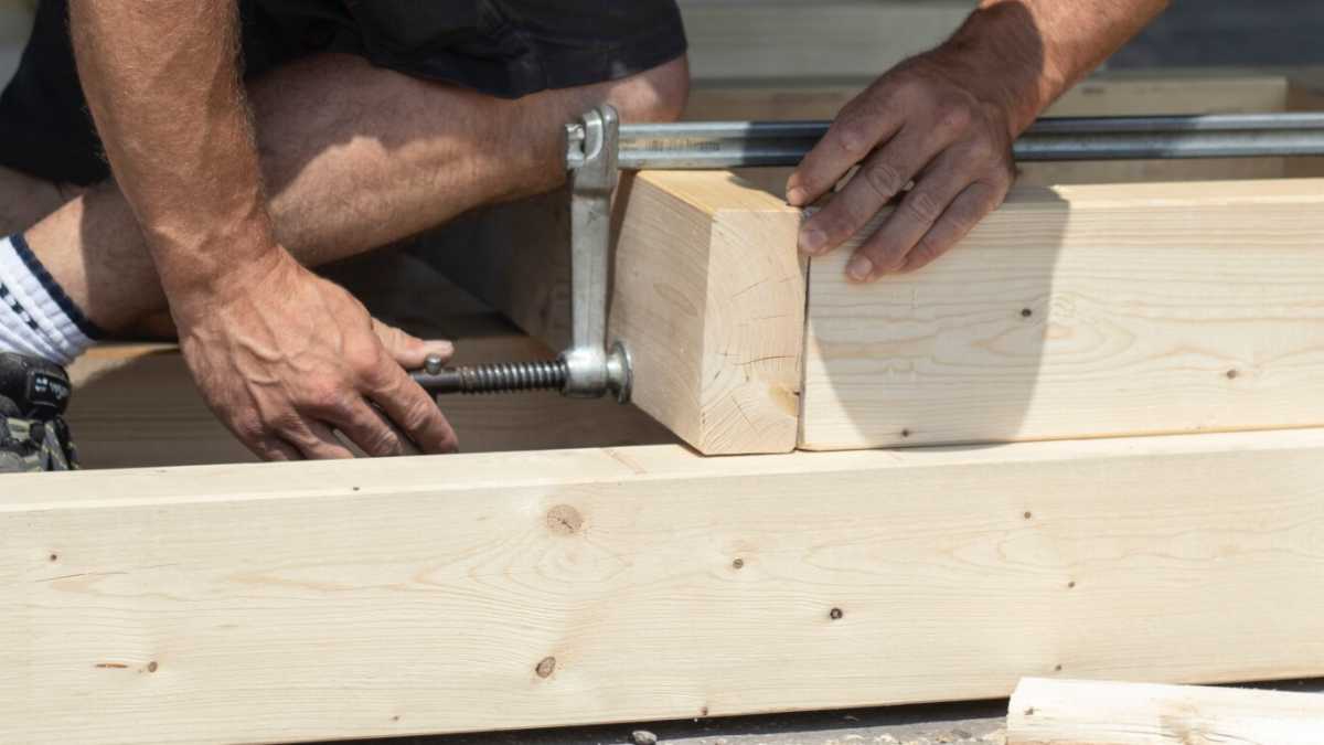 Immagine di I lavoratori del legno scioperano (a causa del decreto dignità)