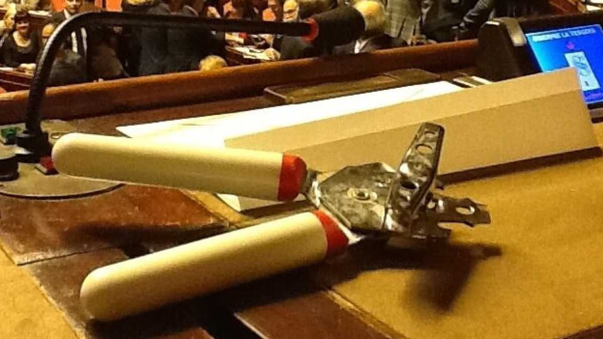 Immagine di Il tonno è tornato nella scatoletta