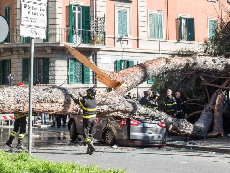 (foto LaPresse)