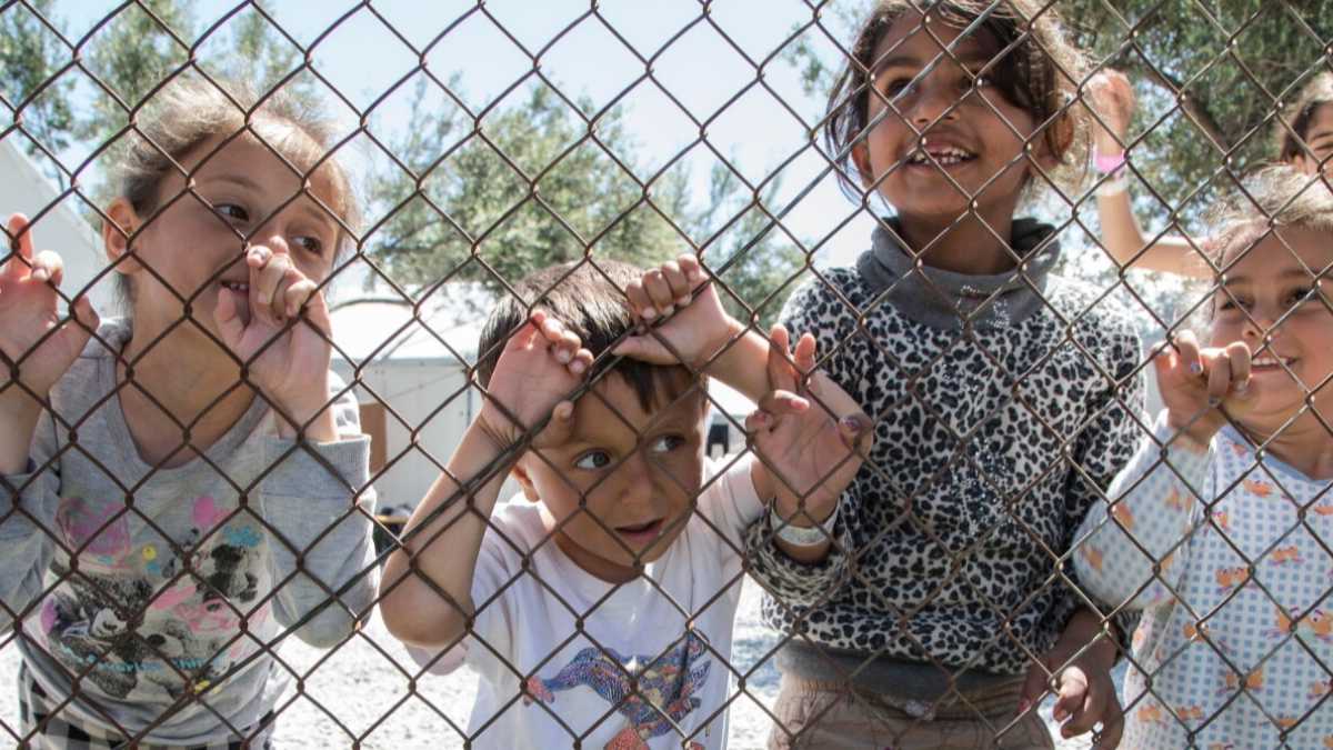 Immagine di Lettere da Lesbo/2