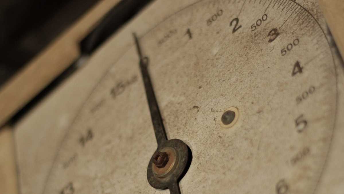 Immagine di La politica degli aghi della bilancia