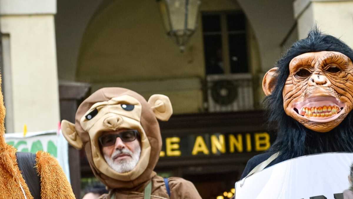 Immagine di Aboliamo ricerca e pensiero scientifico. Provocazione