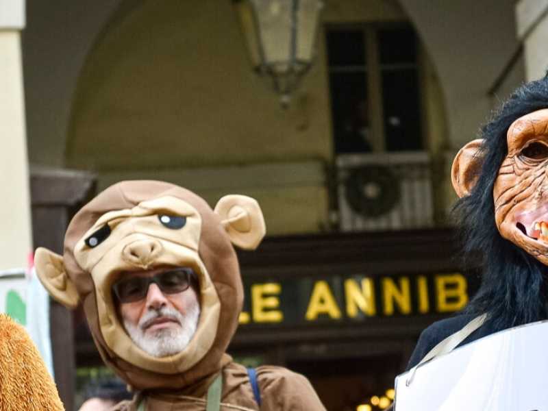 Manifestazione contro la sperimentazione scientifica sui macachi dell'Universit&agrave; di Torino (LaPresse)