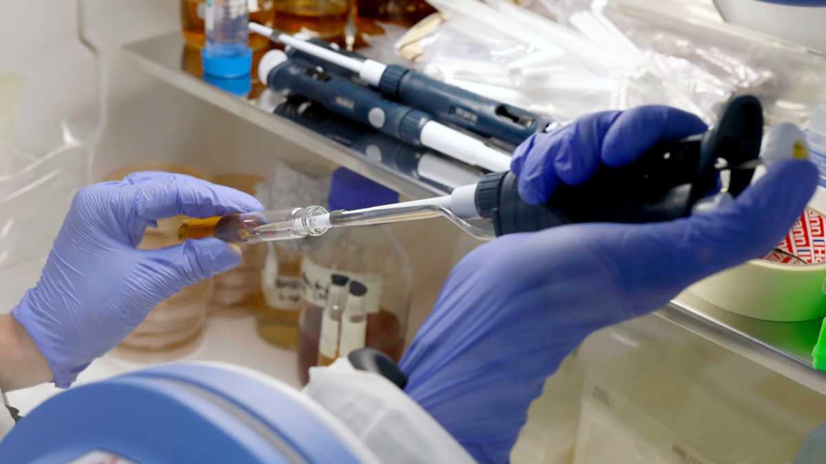Immagine di La resa dei conti sulla prescrizione e le presunte cure per il coronavirus