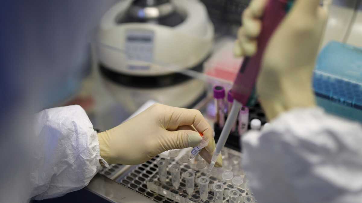 Immagine di La bufala del coronavirus creato in laboratorio rilanciata dai giornali italiani