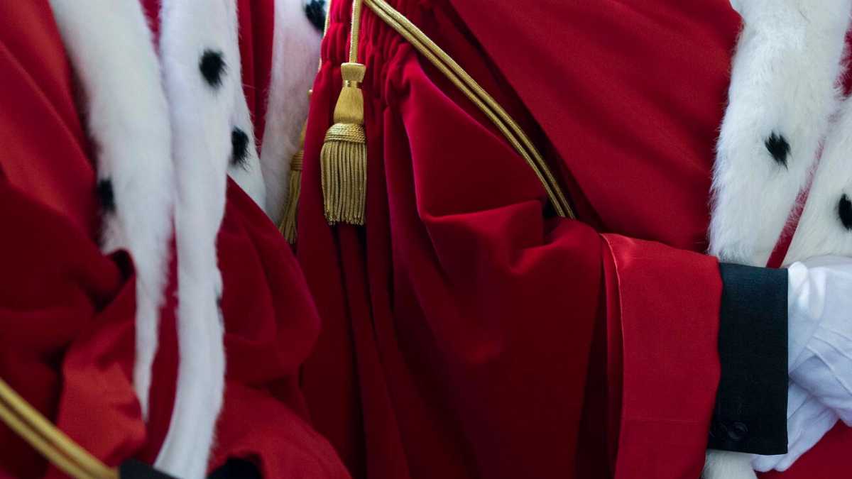 Immagine di La barriera degli ermellini