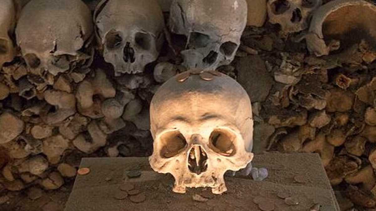 Immagine di Morti, untori e sberleffi. Nella Napoli martoriata dal colera