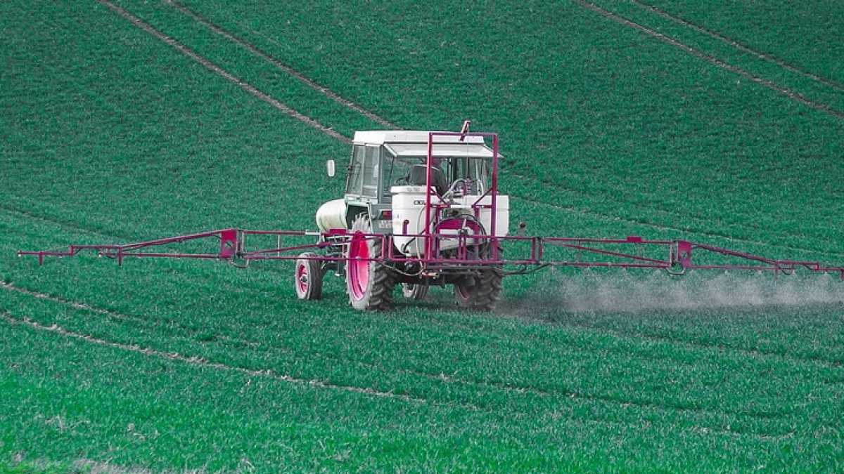 Immagine di Glifosato e pregiudizi: quando la scienza è davvero indipendente?