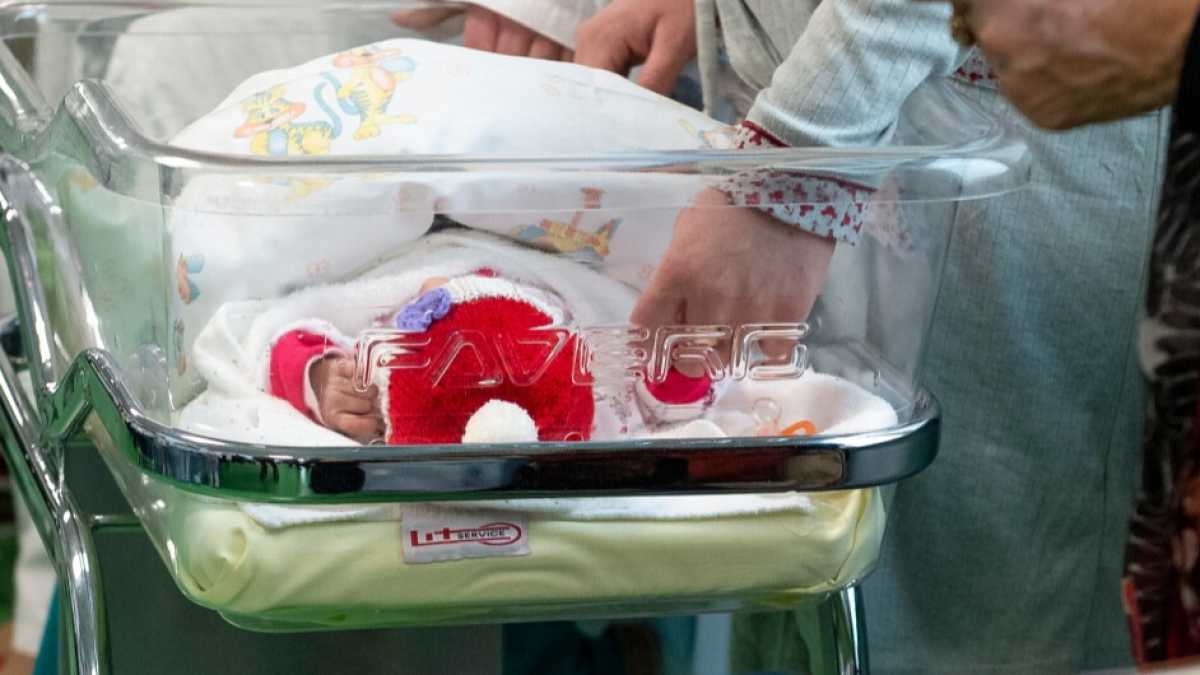 Immagine di Pochi, vecchi italiani