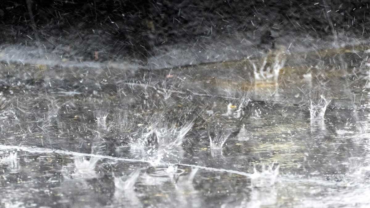 Immagine di Danza della pioggia a Foggia