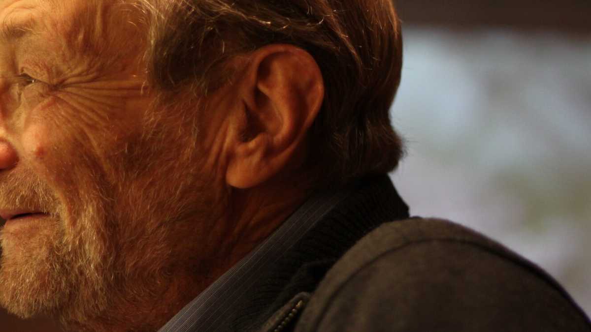 Immagine di Aveva spiegato come facciamo a capire, scegliere, ricordare. Già da neonati