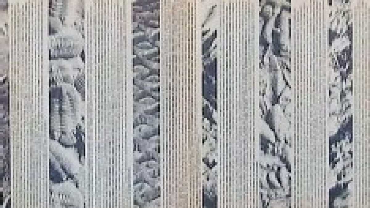 Immagine di Strata, la mente e una finzione geofotografica