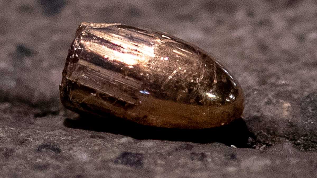 Immagine di E ora parlateci di Hanau