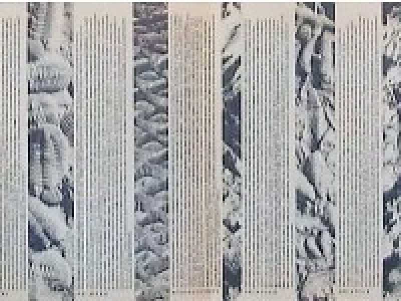 Robert Smithson, Strata. A Geophotographic Fiction, in &ldquo;Aspen&rdquo;, 8, winter 1970-71