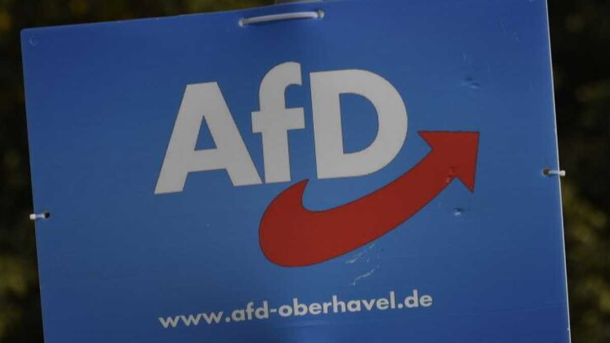 Immagine di La deriva irresponsabile nell'Afd