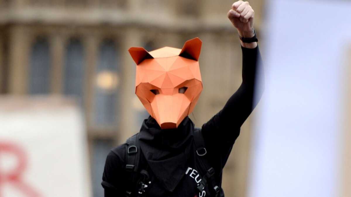 Immagine di Gli animalisti dicono sì alla caccia. Del signor Oberti