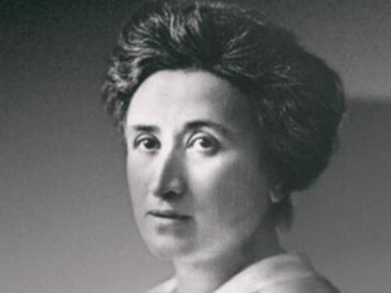 Rosa Luxemburg e le "metafore facili"