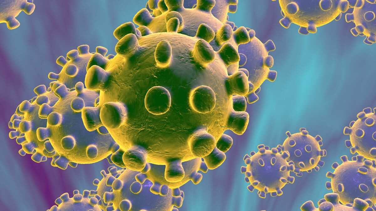Immagine di Il Coronavirus nel mondo del tech, da Amazon a Alibaba