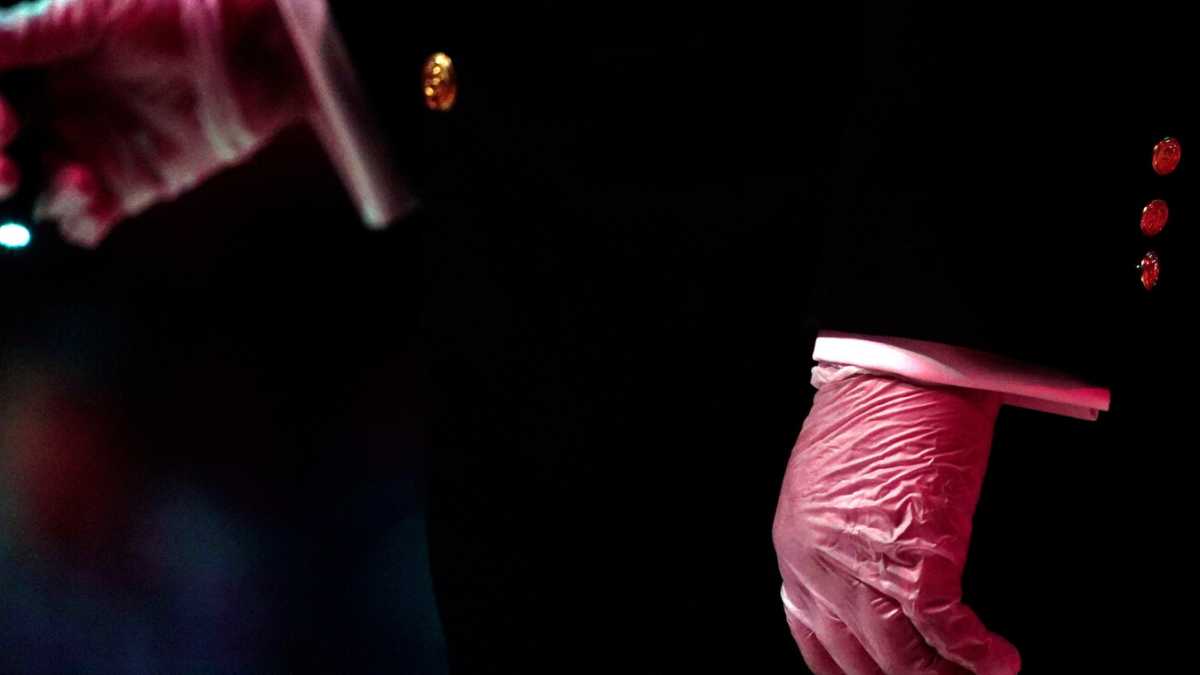 Immagine di L’esperimento del coronavirus