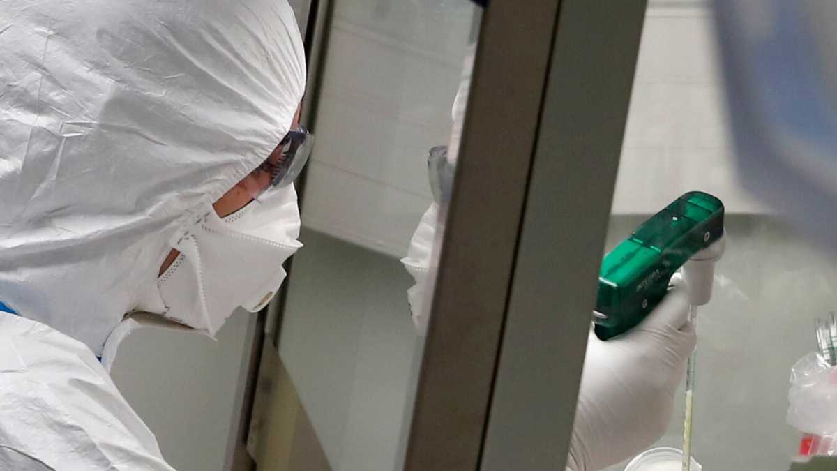 Immagine di Il virus resiste al caldo in Egitto