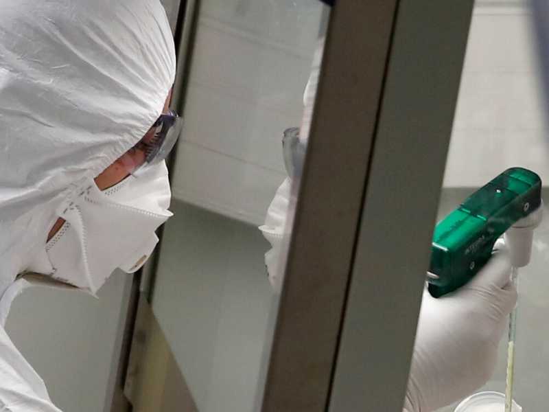 Il virus resiste al caldo in Egitto
