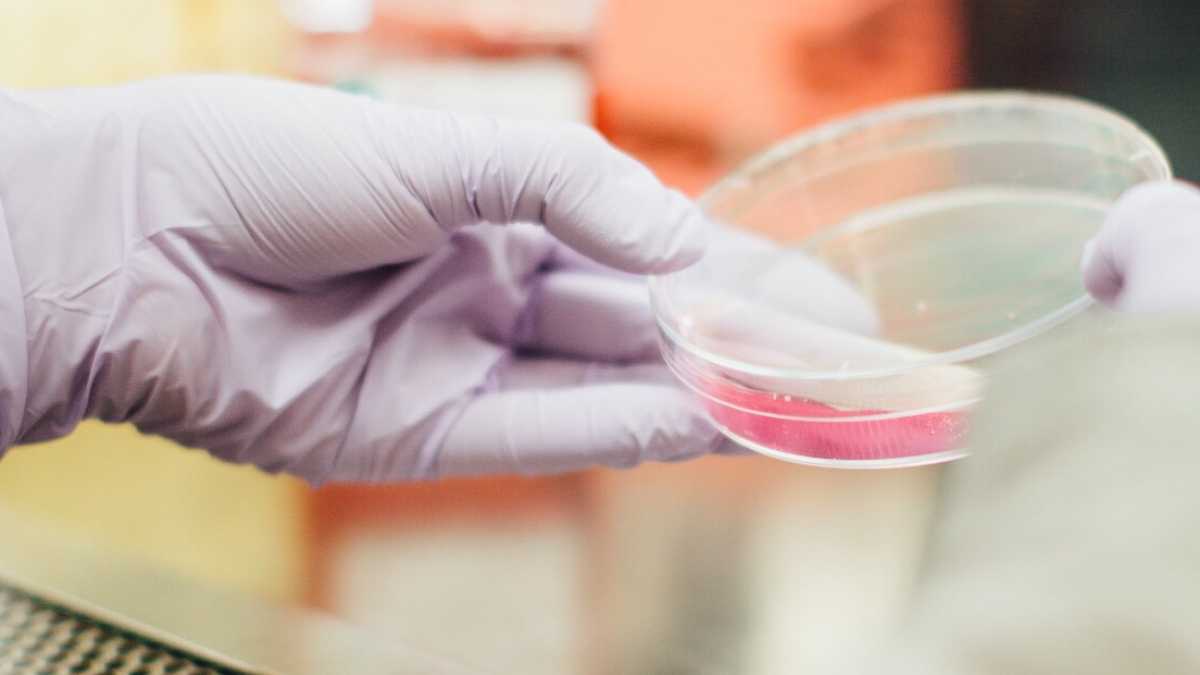 Immagine di Altro che colpa del neoliberismo, contro il covid-19 serve Big pharma
