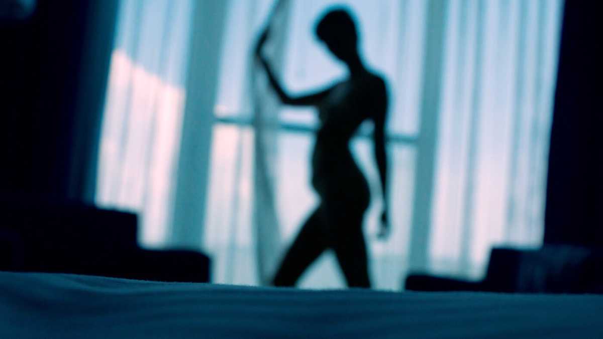 Immagine di Donate i vostri sex-tape, cari vip, salvateci dalla quarantena, donate, donatevi