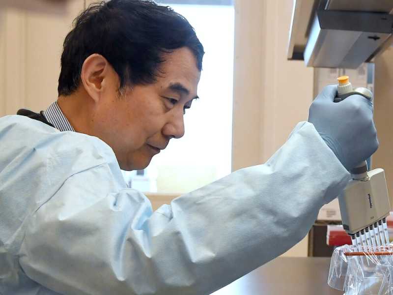 Un medico al lavoro sui test per il coronavirus al Connecticut State Public Health Laboratory  (AP Photo/Jessica Hill via LaPresse) 