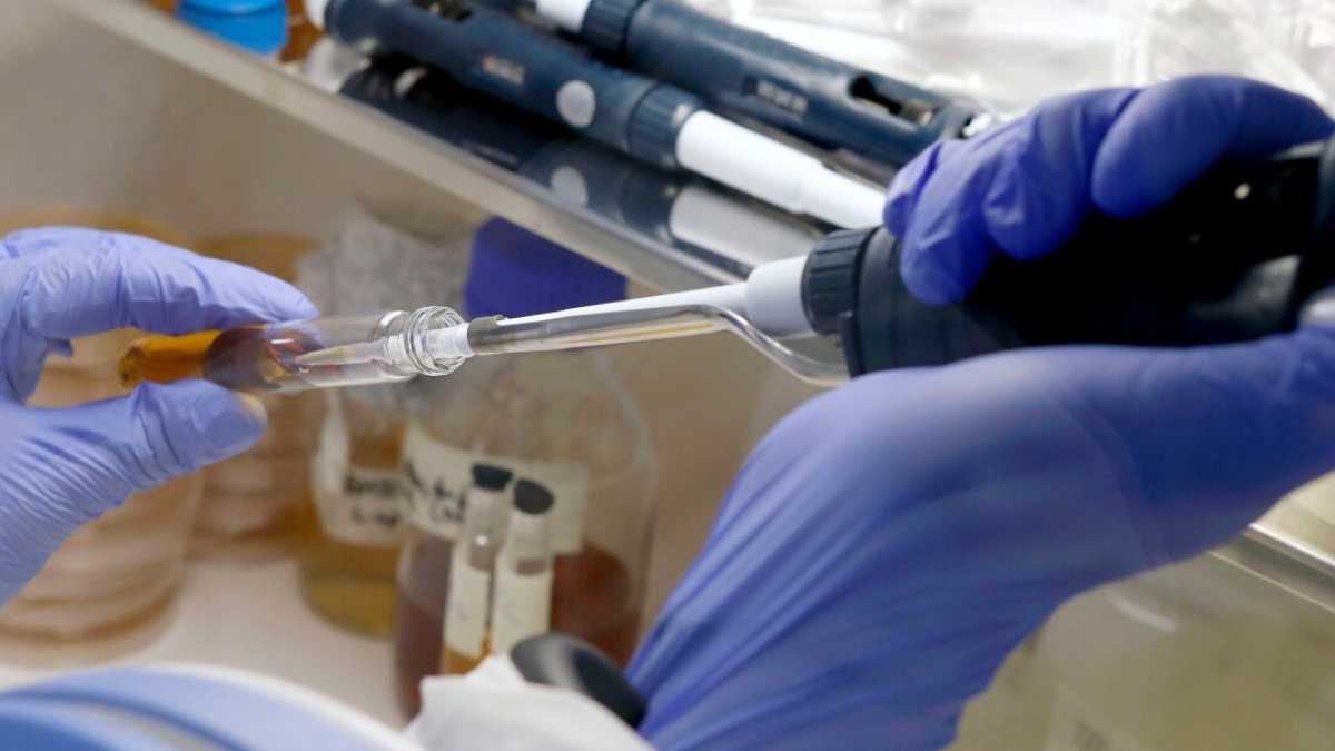 Immagine di Sì, la ricerca deve essere libera. Ma non a fondo perduto